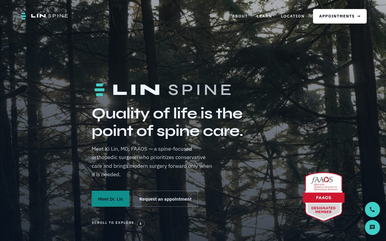 linspine.com homepage preview